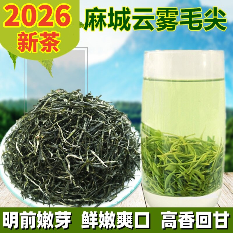 麻城茶叶绿茶2026新茶护儿山茶毛峰毛尖明前茶浓香型半斤包邮