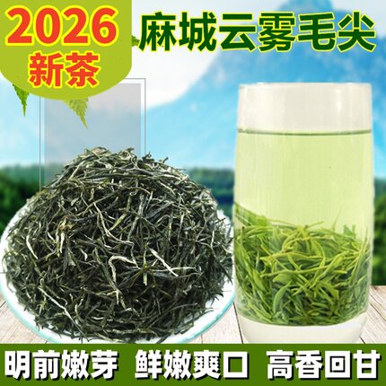 麻城茶叶绿茶2026新茶护儿山茶毛峰毛尖明前茶浓香型半斤包邮