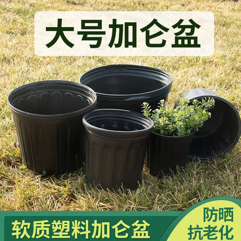 加厚黑色加仑盆阳台玫瑰绿萝君子花盆