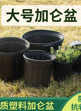 加厚黑色加仑盆阳台玫瑰绿萝君子花盆兰月季花特大号软塑料双色盆