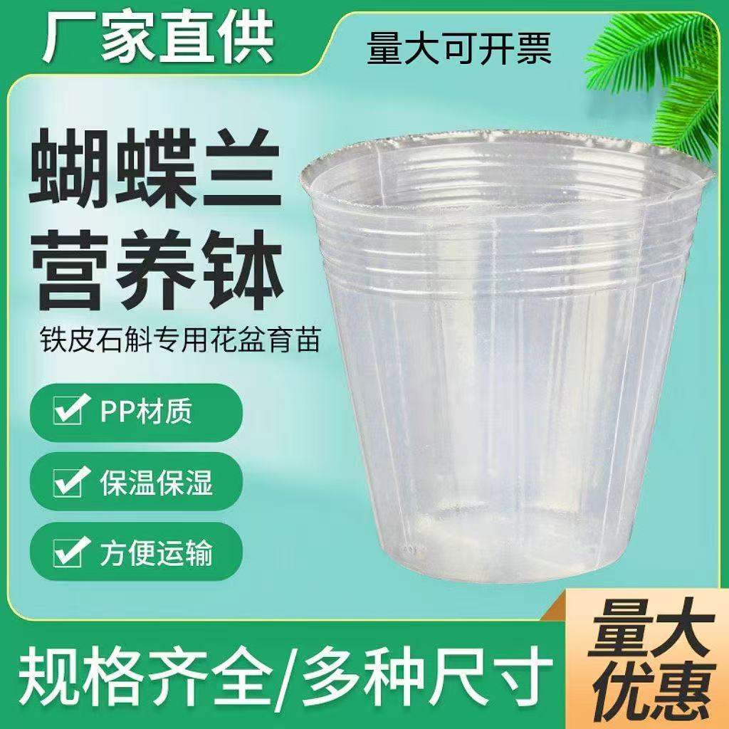 蝴蝶兰专用营养育苗杯营养杯白色营养钵兰花塑料杯透明花盆育苗袋