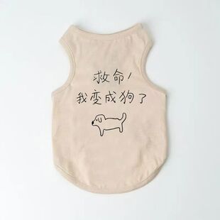 复古猫咪衣服秋冬德文司芬克斯无毛猫衣服春夏宠物狗狗背心空调服