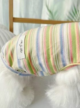狗狗衣服2025新款泰迪比熊夏天宠物猫咪小型幼犬博美春秋薄款背心