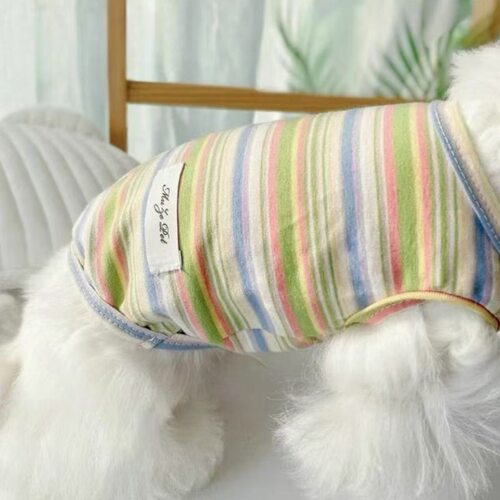 狗狗衣服2025新款泰迪比熊夏天宠物猫咪小型幼犬博美春秋薄款背心