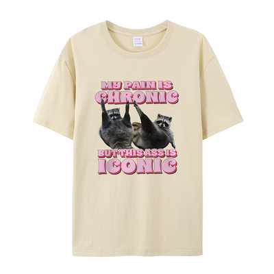 男士和女士有趣的浣熊米姆短袖T恤情侣复古可爱高质量潮流上衣Tee