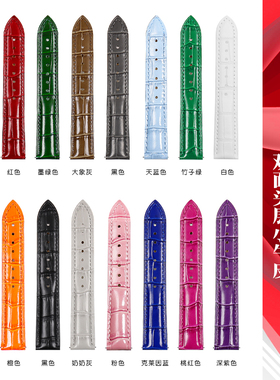 代用DW欧米茄蝶飞世爵卡西欧浪琴坦克tank真皮手表带女鳄鱼纹表带