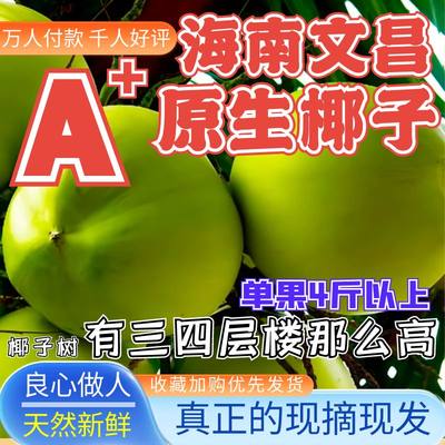 海南文昌新鲜椰子补羊水现摘现发