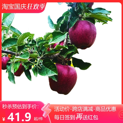 甘肃天水花牛苹果新鲜酥甜大蛇果