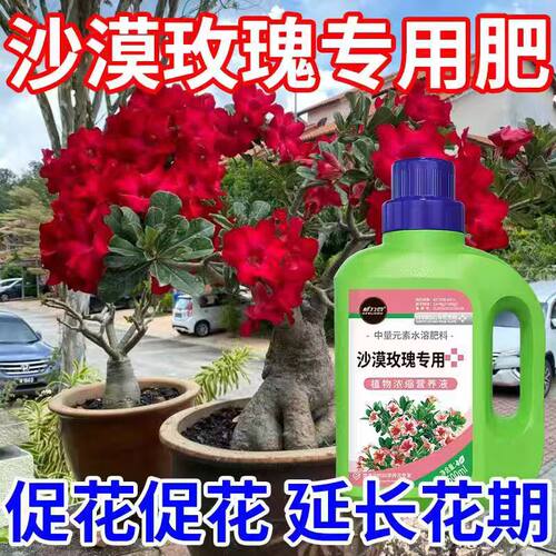 沙漠玫瑰专用肥家用营养液催花爆芽花肥改善黄叶掉叶不开花催花剂