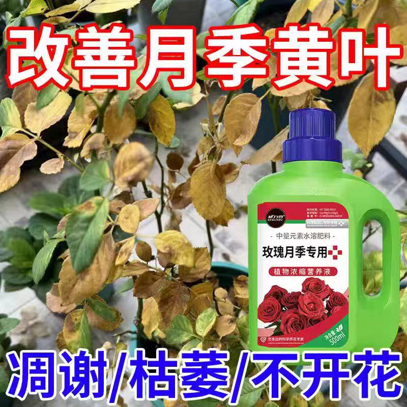 月季玫瑰肥料专用浓缩营养液催花家用促花盆栽通用绿植通用型液体