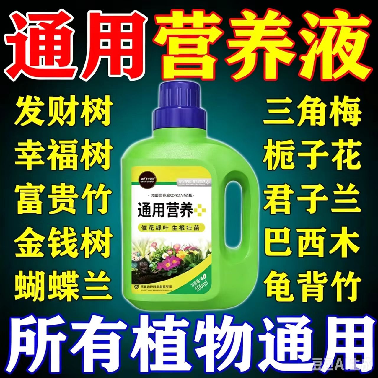 植物营养液通用型绿植僵苗黄叶急无机肥