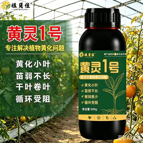 黄灵1号小黄灵专注植物黄叶小叶干叶卷叶苗弱不长花少果少水溶肥