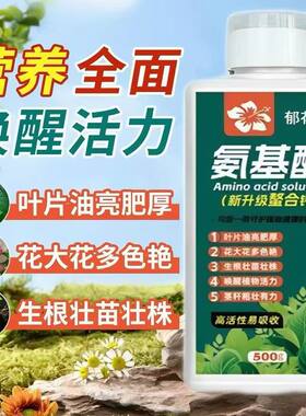 氨基酸营养液专用生根花卉通用主根健壮黄叶绿叶粗壮枝繁壮根肥料