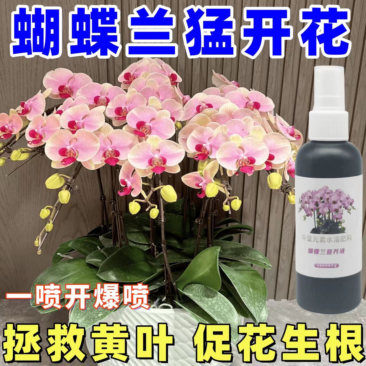 蝴蝶兰营养液专用肥促开花优芽素生长叶面肥免稀释花卉通用营养液