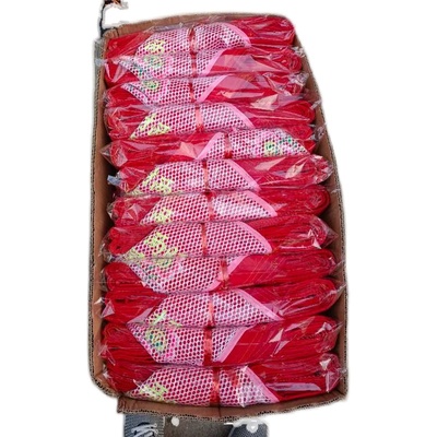 广东传统四爪绣花红背带