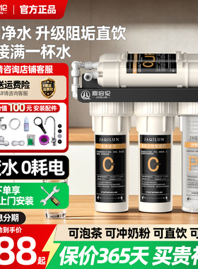 嘉启伦家用大流量净水器