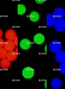 聚乳酸荧光微球（PLA）聚乳酸-羟基乙酸(PLGA)荧光微球