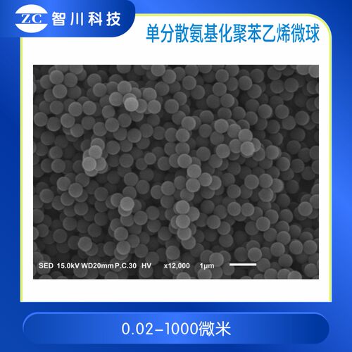 单分散氨基化聚苯乙烯微球