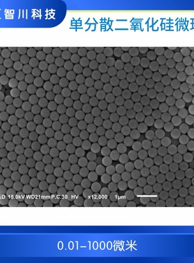 单分散二氧化硅微球 粉末（0.02—200微米）羧/氨基/油酸修饰