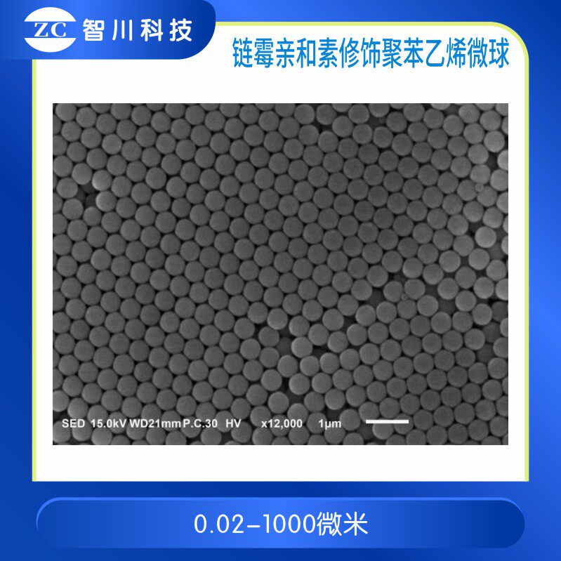 链霉亲修饰聚苯乙烯微球