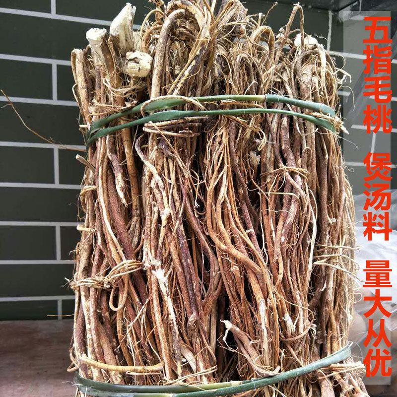 野生五指牛奶广西大瑶山五指毛挑五爪龙根煲汤料泡酒料包邮