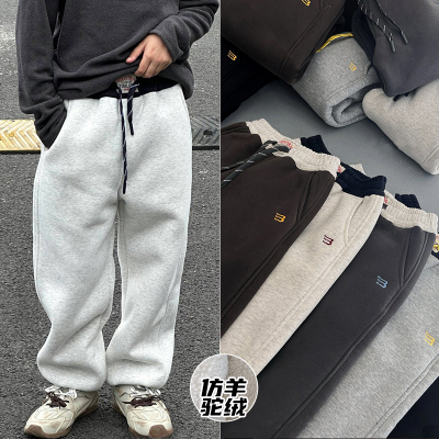 小智同学童装新款男童运动裤仿羊驼绒儿童加绒裤子一条过冬9109