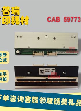 CAB 5977383打印头，德国CAB/凯博，Squix 4.3 300dpi