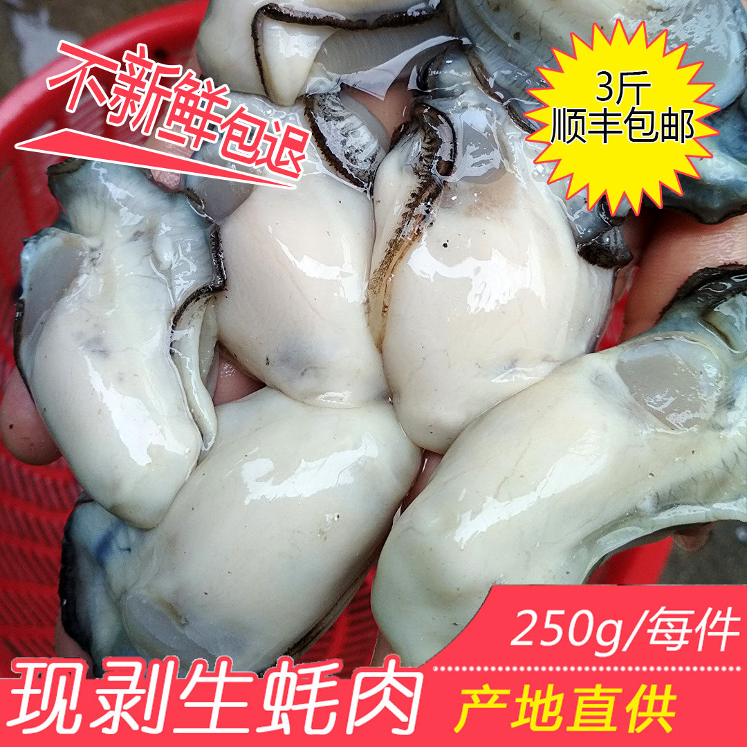 鲜活海蛎广东现剥3斤包邮生蚝