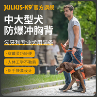 Julius k9胸背带狗狗夏季轻量透气快套胸背法斗金毛柯基牵引