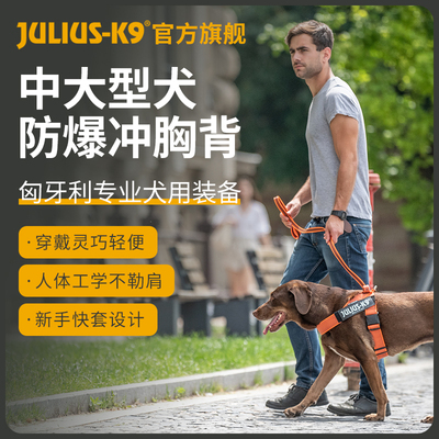 Julius k9胸背带狗狗夏季轻量透气快套胸背法斗金毛柯基牵引