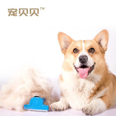 宠贝贝宠物祛毛梳子狗狗梳毛开结毛发清理宠物用品