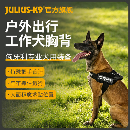 JuliusK9胸背带牵引边牧德牧中