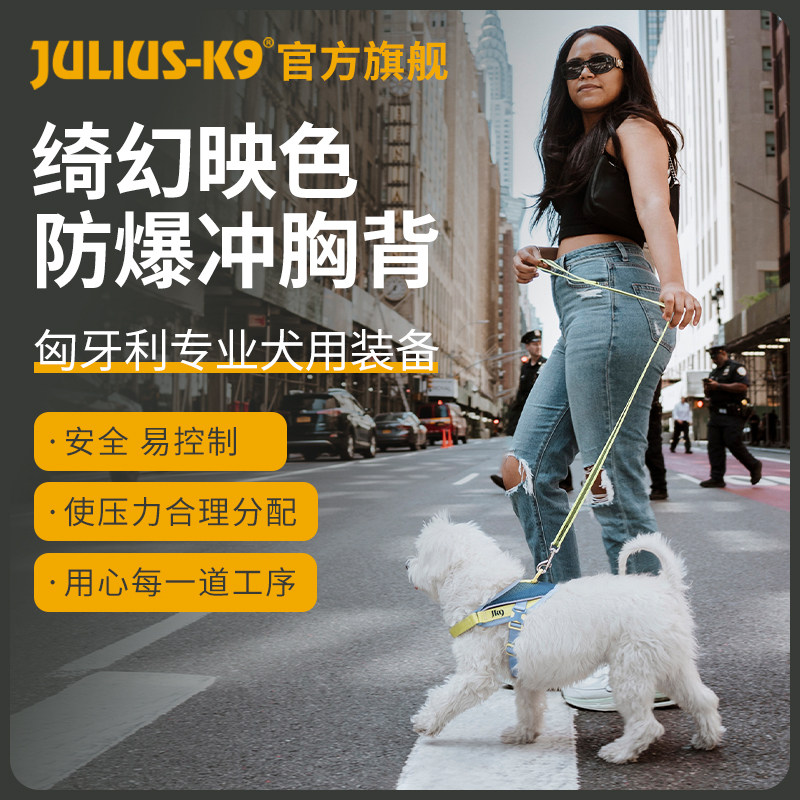 JuliusK9绮幻映色系列胸背带狗狗牵引绳胸背带防爆冲战术户外遛狗