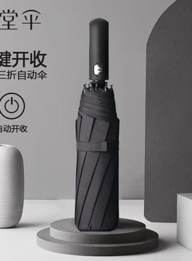 天堂伞全自动双人雨伞