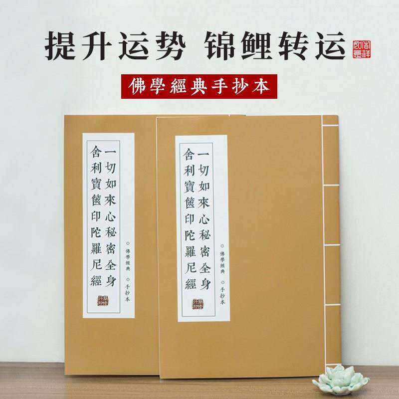 一切如来心秘密全身舍利宝箧印陀罗尼经抄经本硬笔手抄本小楷临摹