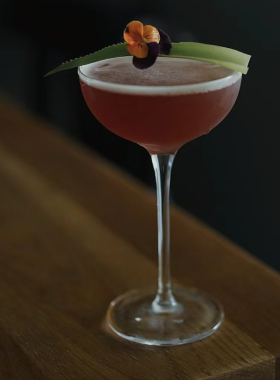 木村日式阔口杯鸡尾酒杯子蝶形香槟杯高脚杯玛格丽特杯水晶玻璃杯