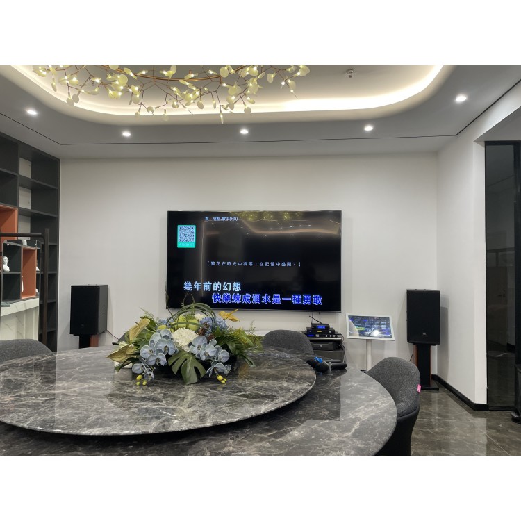 JBL MTS 10高端娱乐会所KTV卡拉OK音箱 K歌会议演出音响