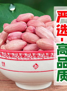 2025年当季山东大长粒花生米农家新鲜干花生米仁粉皮生吃香甜油炸