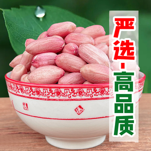 2025年当季山东大长粒花生米农家新鲜干花生米仁粉皮生吃香甜油炸