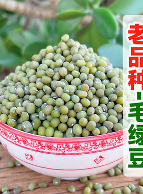 正宗山东毛绿豆新鲜小粒沂蒙山农家笨绿豆发生豆芽软糯易煮起沙