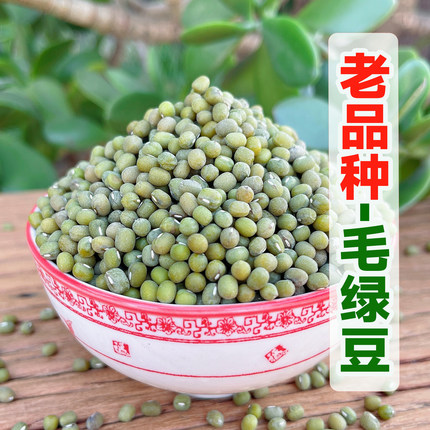 正宗山东毛绿豆新鲜小粒沂蒙山农家笨绿豆发生豆芽软糯易煮起沙