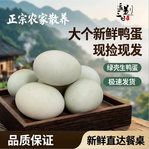 新鲜大个生鸭蛋农家散养土鸭蛋