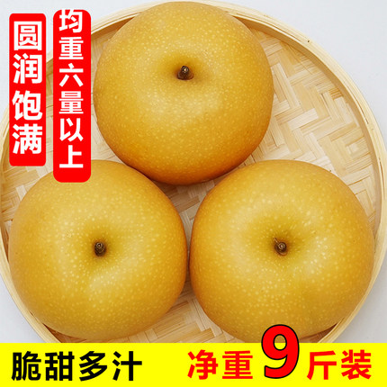正宗丰水梨新鲜水果黄梨蜜梨