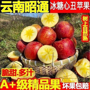 云南昭通红露丑苹果冰糖心丑苹果新鲜水果产地直发