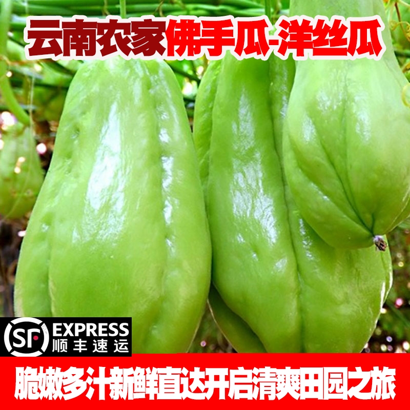 【顺丰】云南佛手瓜现摘洋丝瓜窝瓜捧瓜丰收福寿自种新鲜蔬菜当季