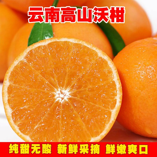 云南高原沃柑果肉细腻嫩滑