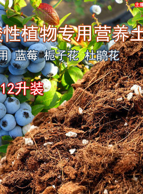 【中禾酸性土】蓝莓专用营养土栀子花绣球