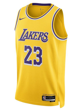 NIKE耐克男子洛杉矶湖人队NBA球衣运动休闲篮球服DN2009-733羊仓