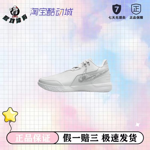 Nike Zoom LeBron NXXT Gen 布朗尼一代 缓震 篮球鞋 国内版/白色