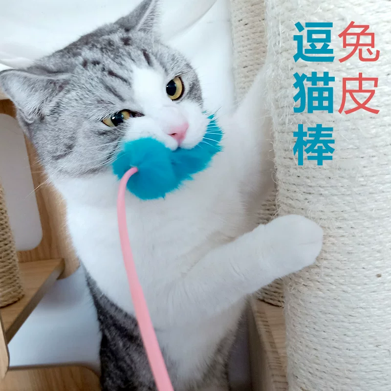 Plush small interactive cute toy, pet, cat, kitten